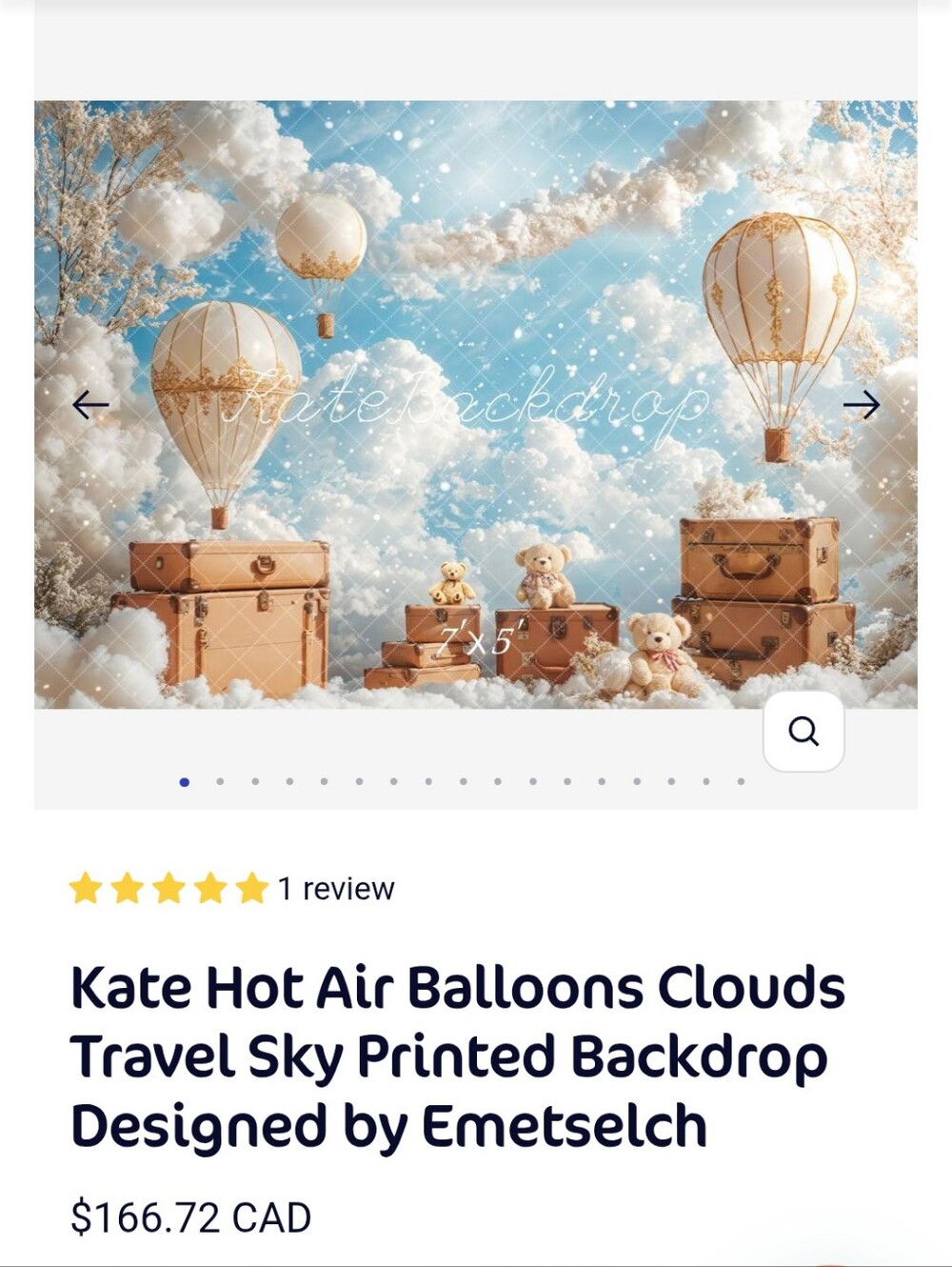 10x8 XL Kate Backdrop - Hot Air Balloon